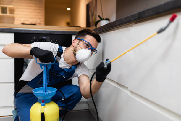 Best Emergency Pest Control  in Stonybrook, PA